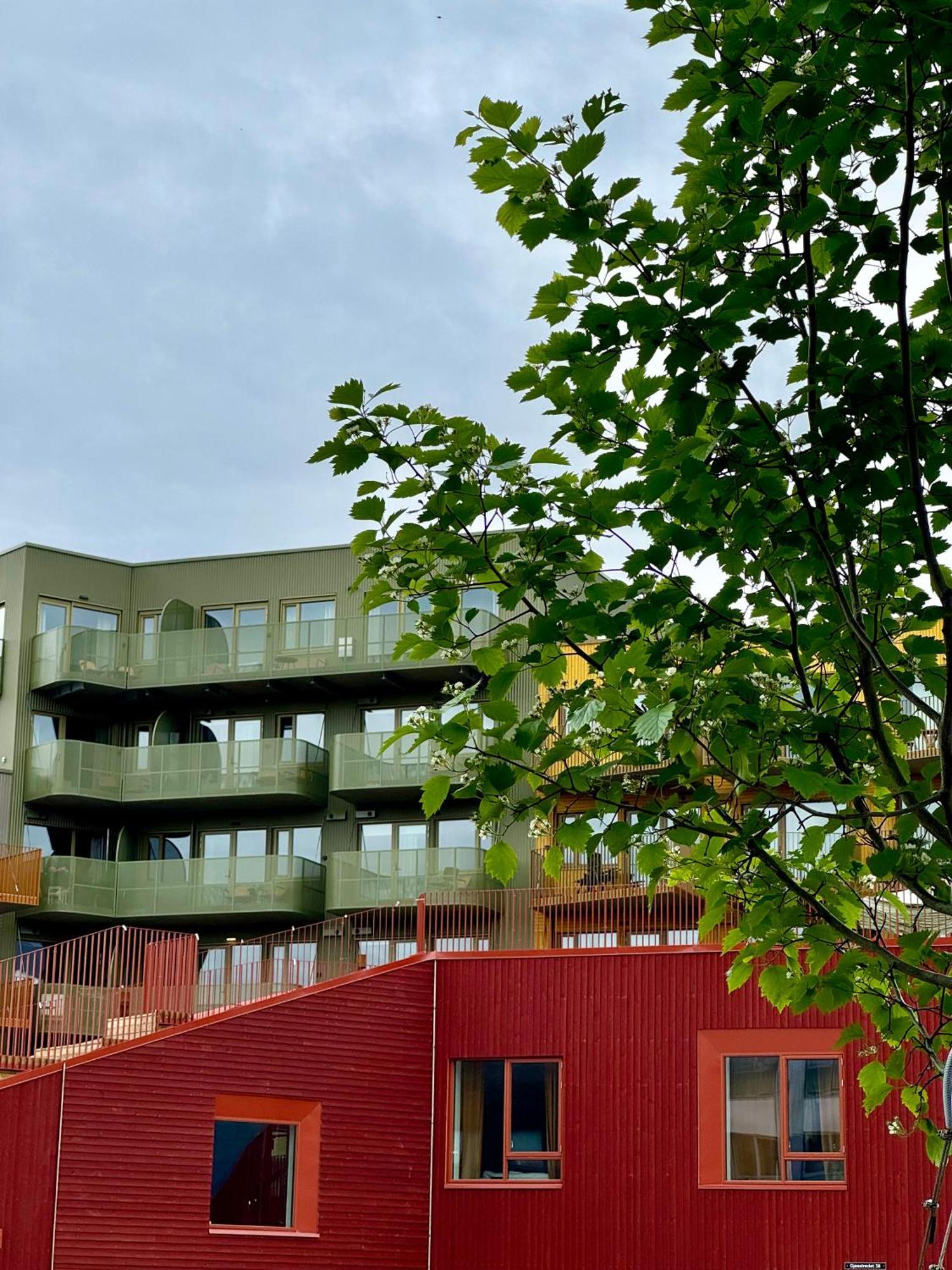 Totalapartments Skansegata Studio Apartments トロムソ エクステリア 写真